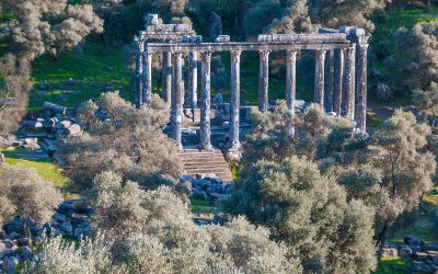 istanbul local tour operators